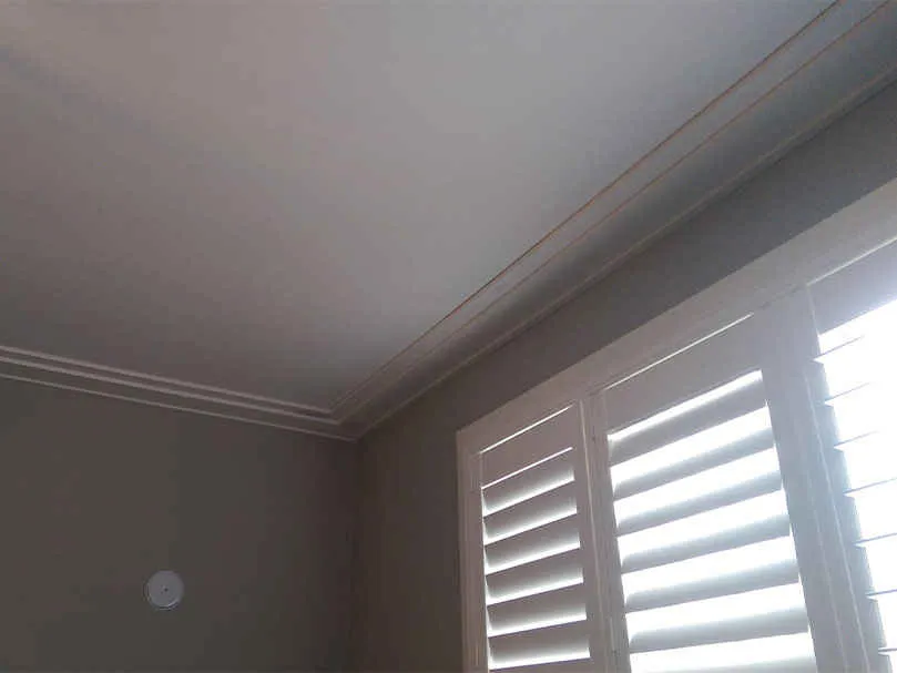 dry wall painter orleans